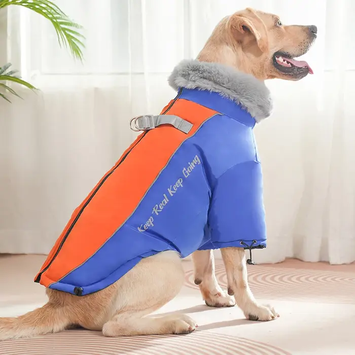 Veste d'hiver pour chien avec grand col en fourrure