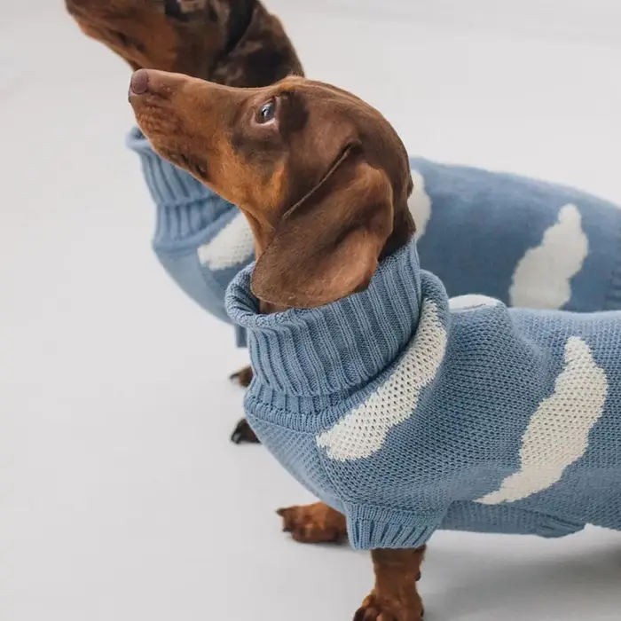 Vêtements pour chien Wiener manteau en laine en peluche pull chaud