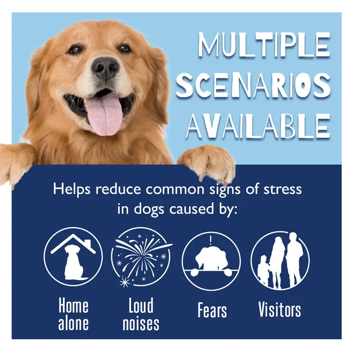 Liquide apaisant pour chien