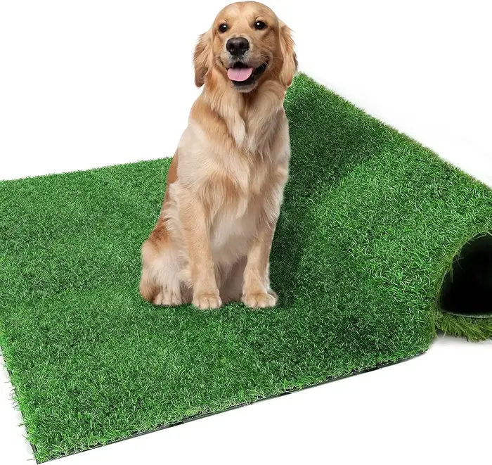 Pot en Forme de Grand Patch pour Chien Artificiel, Accessoire Lavable et Portable pour l'Entraînemen