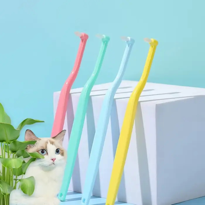 Brosse à dents ronde/pointue pour chien