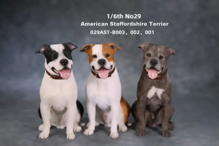 JXK Studio 1:6 Figurine de chien American Staffordshire Terrier