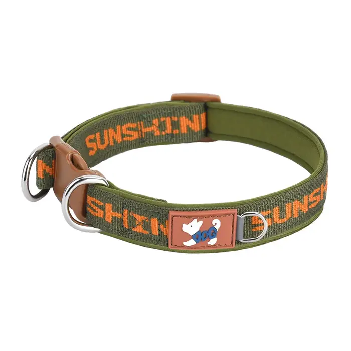 CP570--Collier réglable pour chien de compagnie, deux anneaux en D en métal et boucle durable, impri