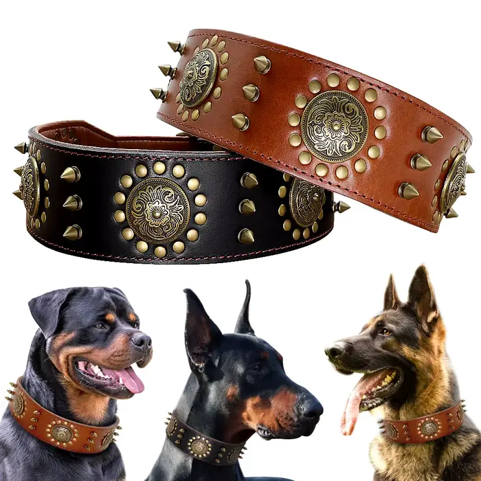 Grand collier pour chien en cuir