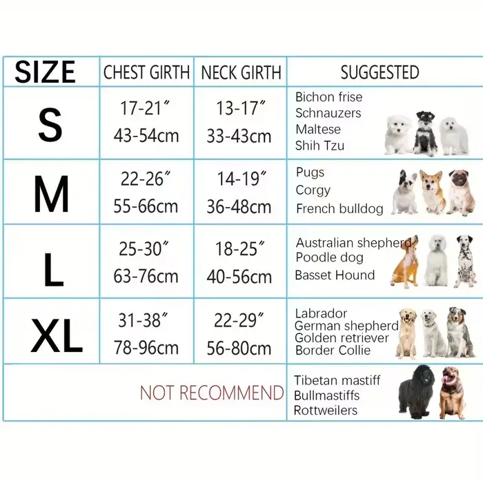 Harnais pour chien sans traction avec 2 clips de laisse