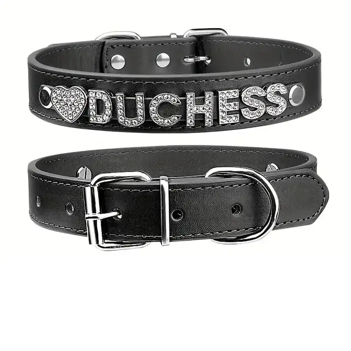 Collier personnalisé pour animaux de compagnie avec étiquette nominative personnalisée, collier pour