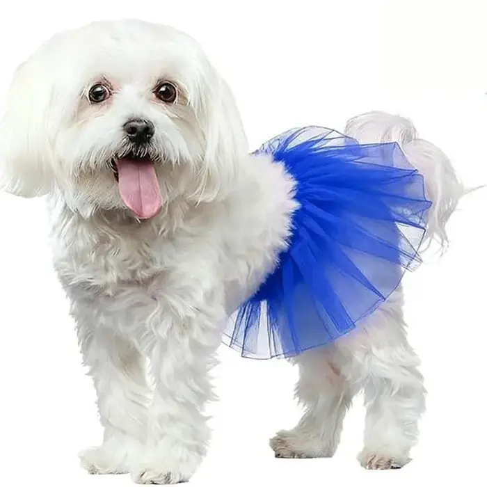 Tutu pour chien, jolies robes pour chiens de petite taille, pour animaux de compagnie de petite et m
