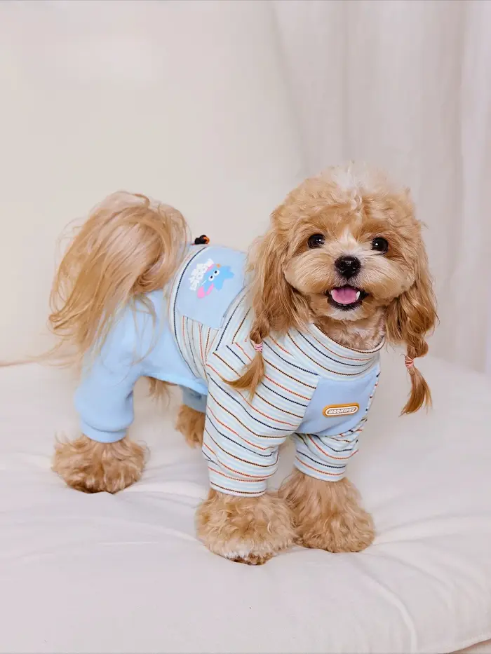 Vêtements pour chiens de petite taille, pull à quatre pattes, vêtements d'automne pour animaux de compagnie, pour Yorkie et Chihuahua