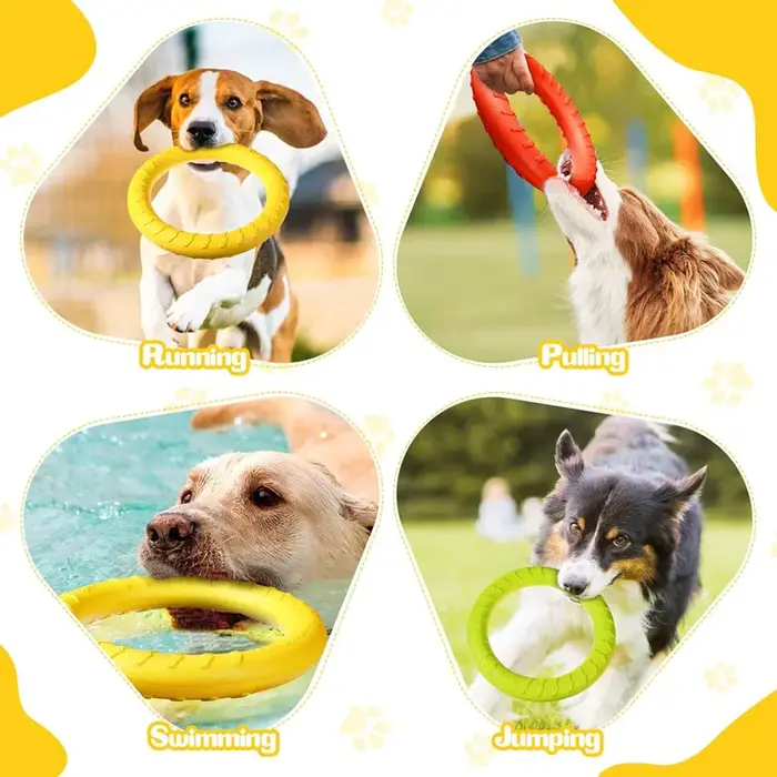 ChFukFlying-Anneau flottant pour chien