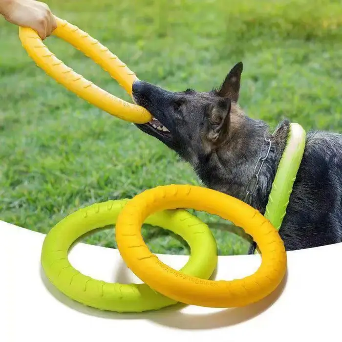Jouets d'anneau pour chien