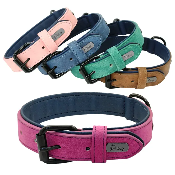 Collier de chien en cuir pour petits