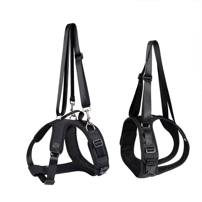 Ceinture auxiliaire pour chien handicapé tissu et polaire pour soutien des jambes avant et arrière aide à la marche et entraînement physique chiens et chats occasions spéciales