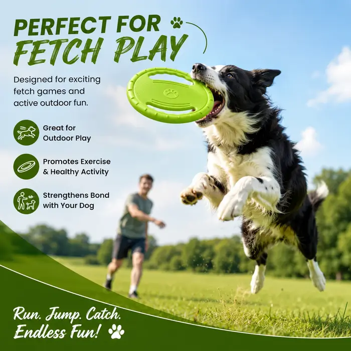 Disque volant EVA pour chien