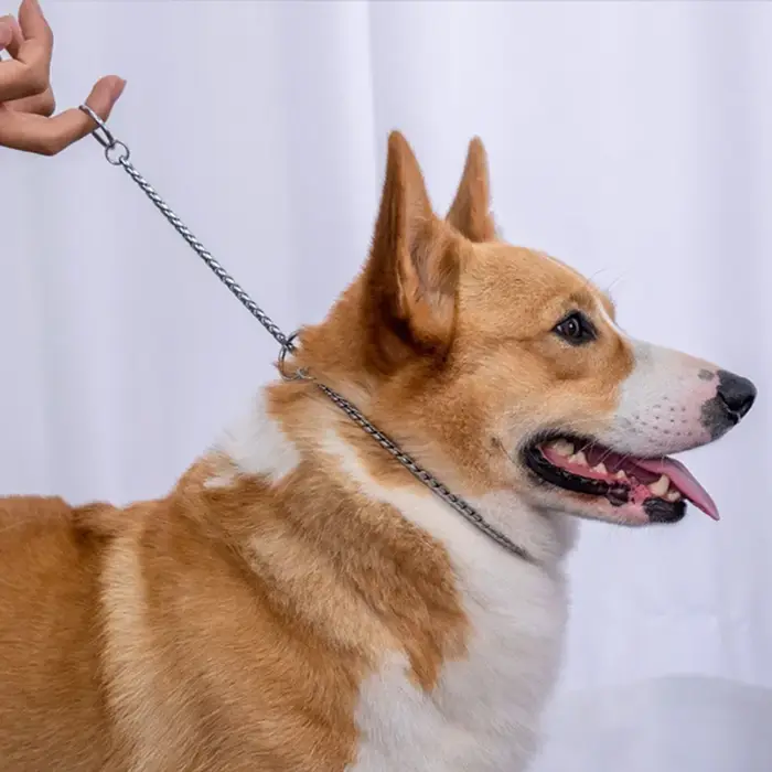 Collier en cuivre serpent P pour petit chien