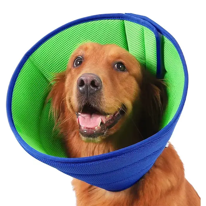 Collier de protection pour chien résistant aux intempéries pour promenade et récupération post-opératoire en argent 925 pour chien de petite, moyenne ou grande taille en blanc, rouge, noir ou vert