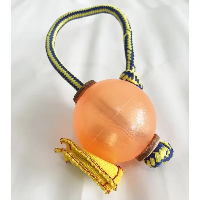 Balle magnétique d'entraînement pour chien, balle souple orange/bleu avec corde