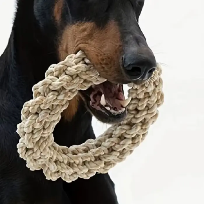Jouets en corde pour chien de compagnie