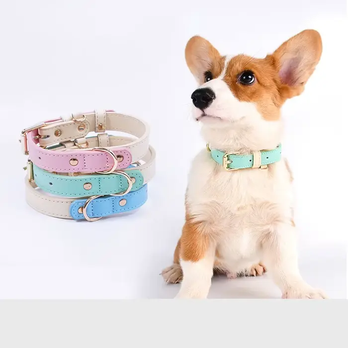 Collier pour chien, anneau de cou Anti-perte et Anti-éclaboussures en cuir