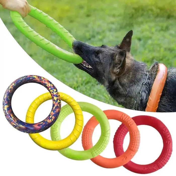 05/2019 volants OligDog pour animaux de compagnie