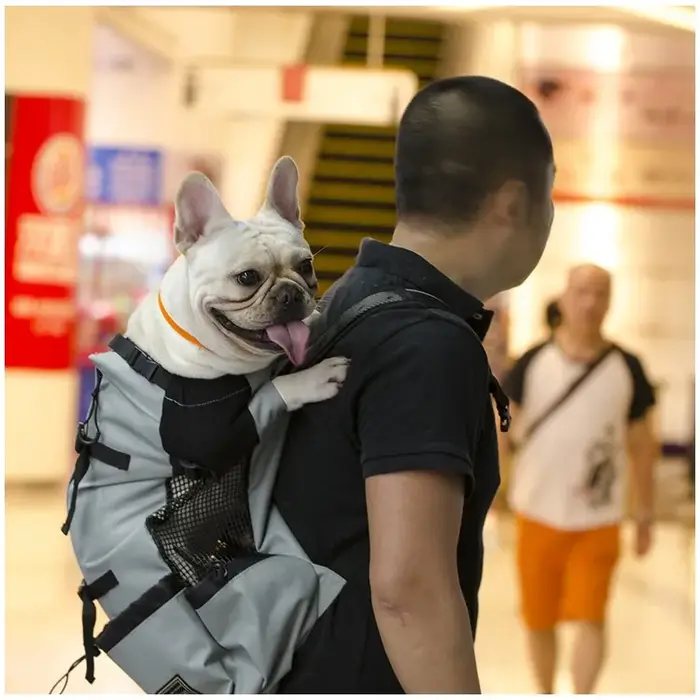 Randonnée animal de compagnie chien transporteur voyage sac à dos Ventilation extérieure respirant v