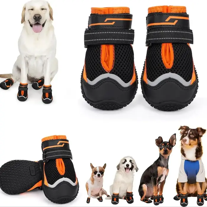 Chaussures pour chien pour pavés chauds, bottes protectrices pour pattes de chiens de taille L et M 