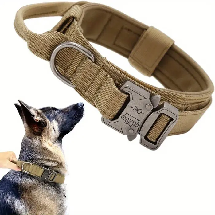 Collier tactique pour chien, réglable, pour animaux de compagnie, entraînement, avec boucle en métal