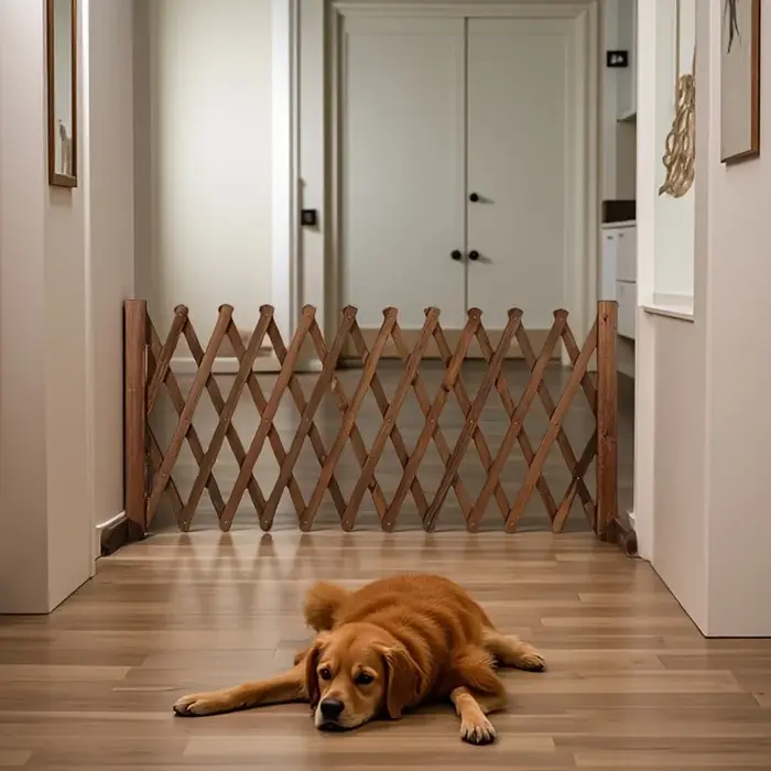 Barrière pliable extensible pour chien en bois massif sécurisée et élégante pour chiots et chiens de taille moyenne à offrir occasions spéciales