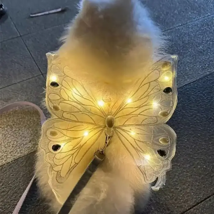 Nouvelles ailes de chien lumineuses et mignonnes en forme de papillon pour petits et moyens animaux de compagnie