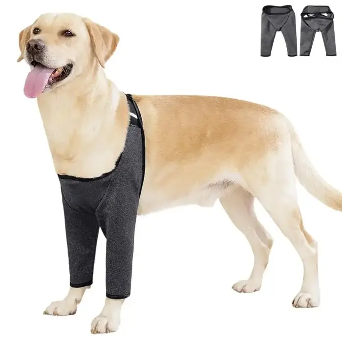 Genouillère pour chien, pour récupération des blessures des blessures, coudière en tissu Polyester r