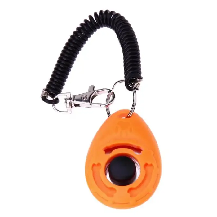 Clicker d'entraînement pour chien