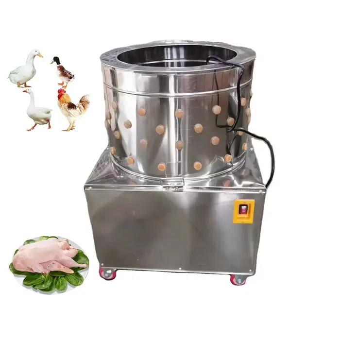 Plumeuses à volailles (poulets, canards, oies), équipement d'abattage commercial, plumeuses électriq