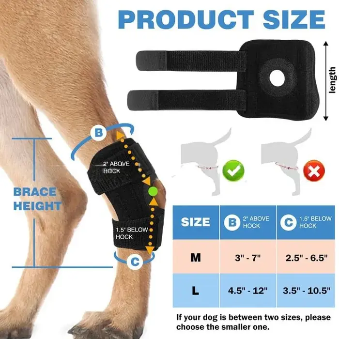 Protège-jambes pour chien, attelle de soutien du genou avec anneau en Gel de Silicone, stabilisateur