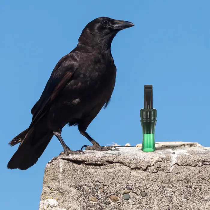 Appelant corbeau réaliste pour chasse - Sifflet imitation son naturel corvidés pour observation