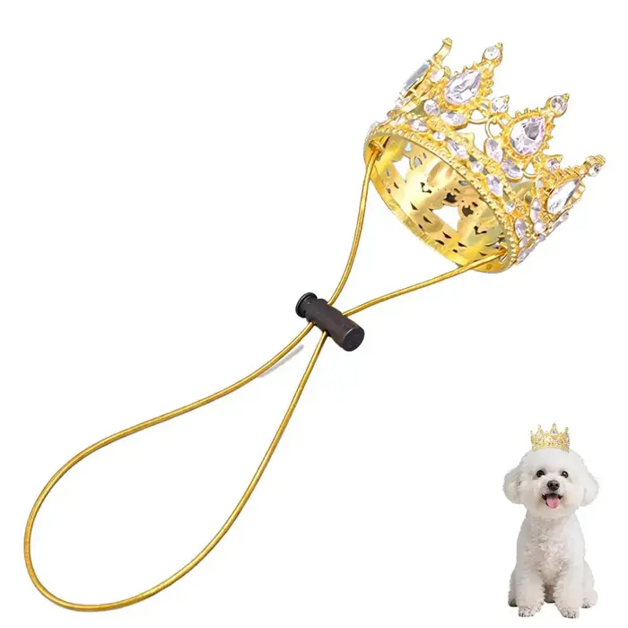 Chapeau couronne pour animaux de compagnie, pour chiens et chats, décorations de fête d'anniversaire