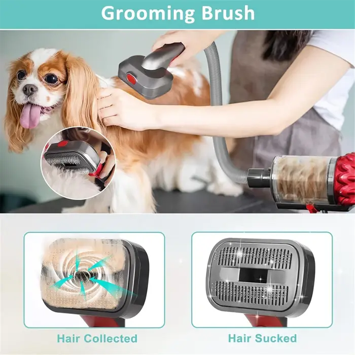 Kit de toilettage pour chien de compagnie