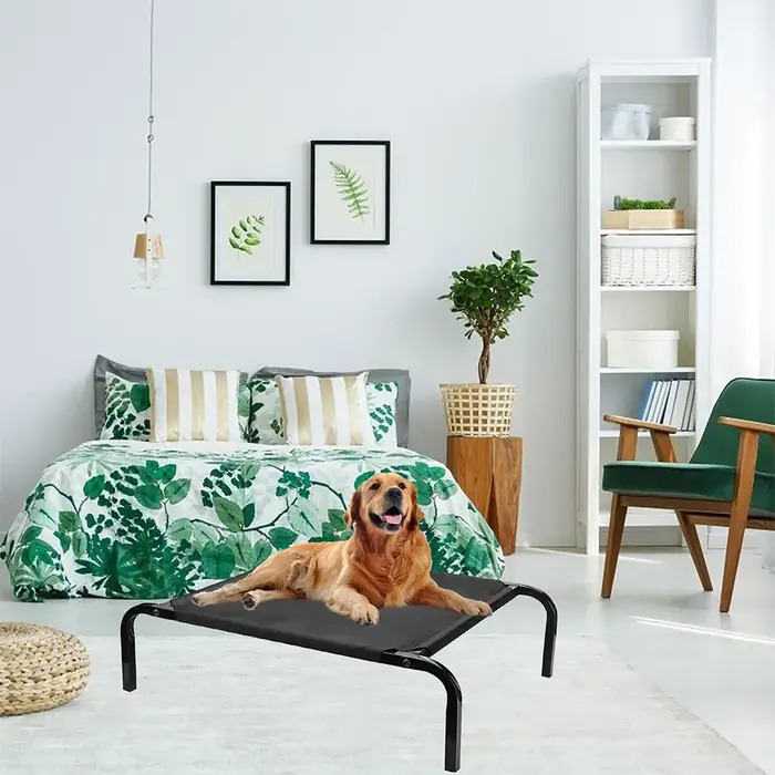 Lit pour chien élégant et surélevé, en maille respirante, avec housse amovible et lavable, pour l'in