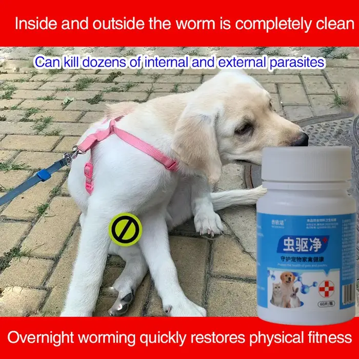 Variété de Parasites pour Animaux de Compagnie, Vermifuges Internes et Externes pour Chiens, Chats, 