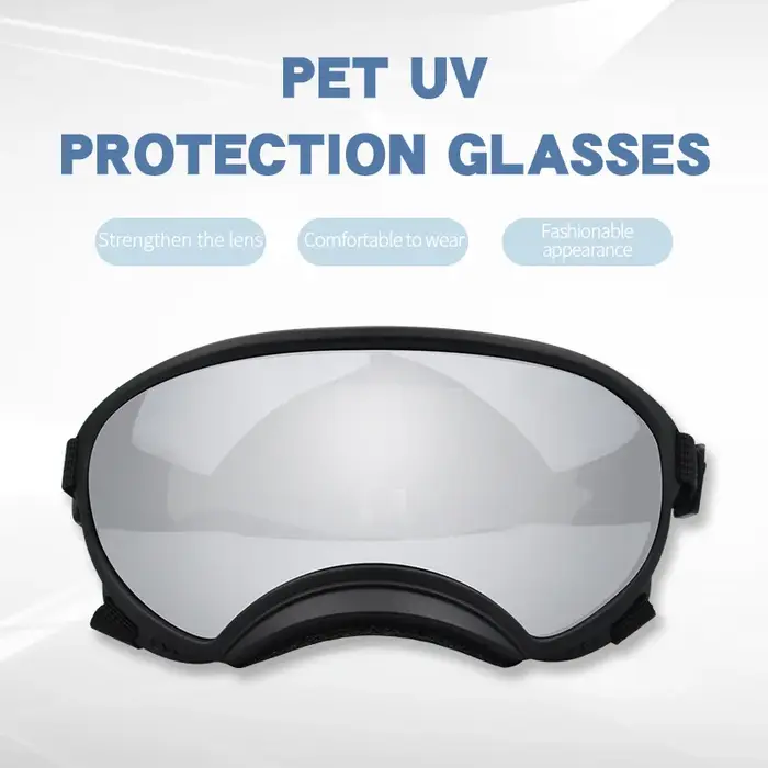 Lunettes pour animaux de compagnie en plein air pour chien