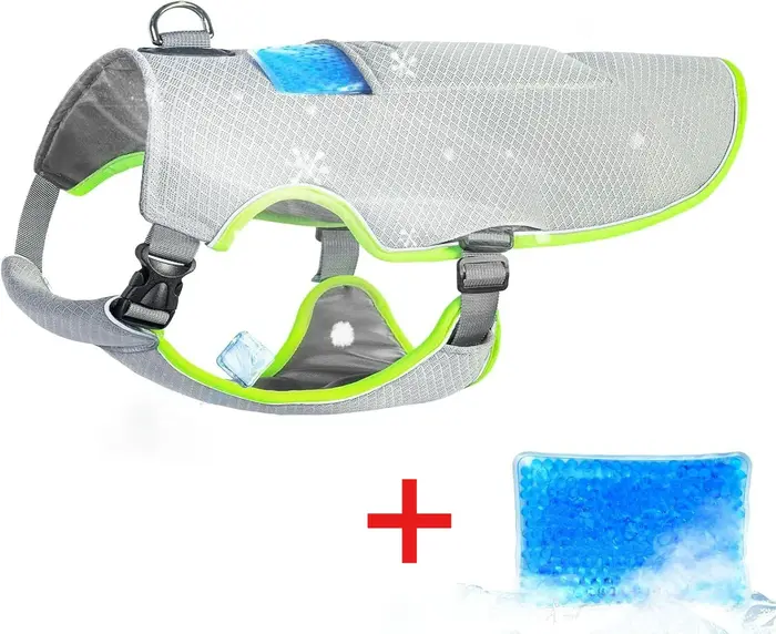 Gilet rafraîchissant pour chien avec poche à glace, maille respirante, protection solaire, veste d'é