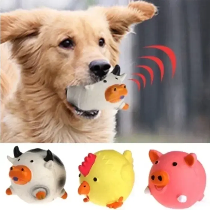 Jouet interactif pour chien