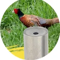 Sifflet chasse oiseaux en acier extérieur RRKXA - pour chasseurs faisans équipement professionnel