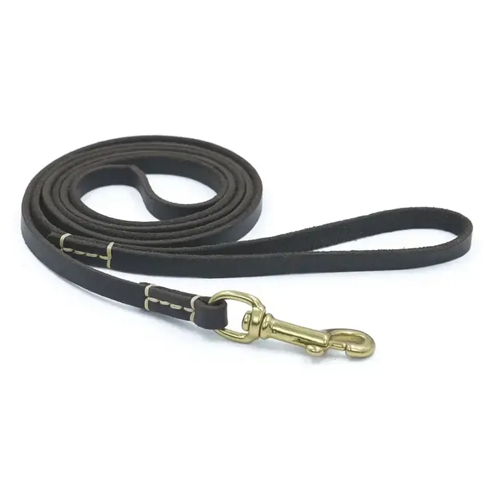 Laisse de dressage de chien en cuir véritable souple pour petites étudiés, matériel en laiton, PupME