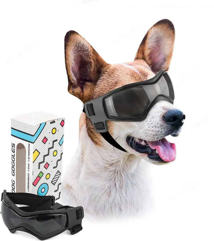 Lunettes de soleil pour chien de petite et moyenne taille