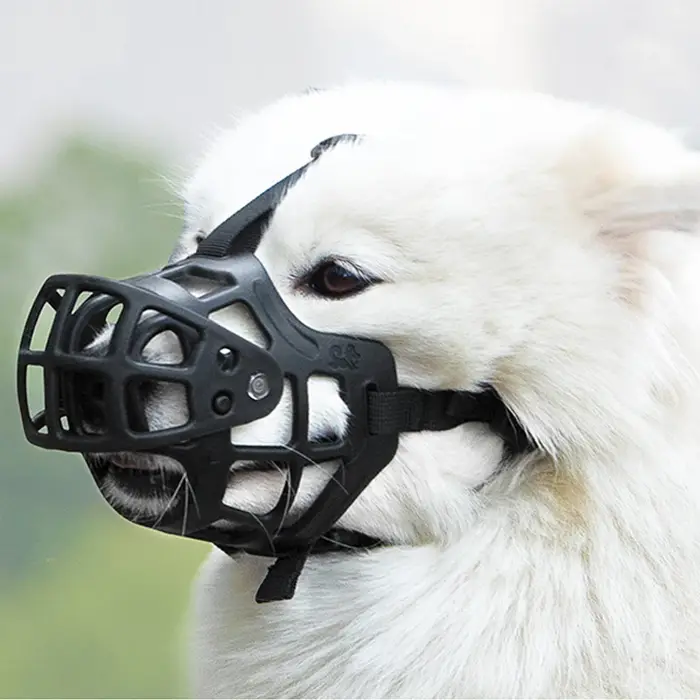 Protège-bouche pour chien anti-morsure