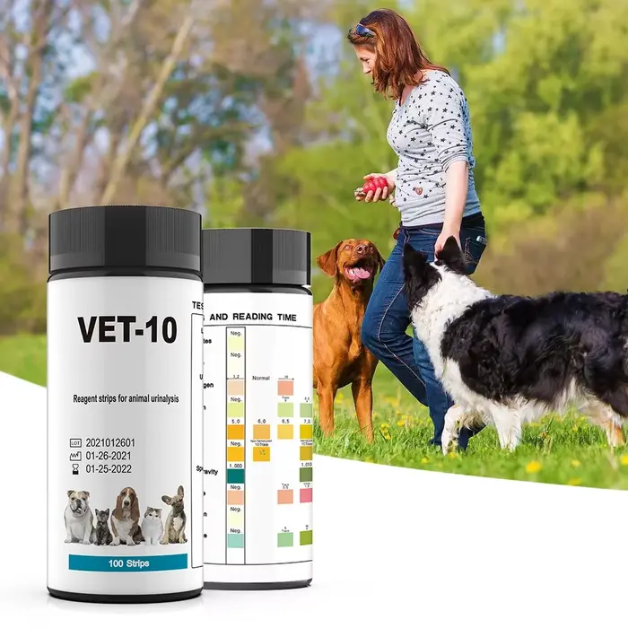 Bandelettes de Test d'urine pour la santé des animaux de compagnie