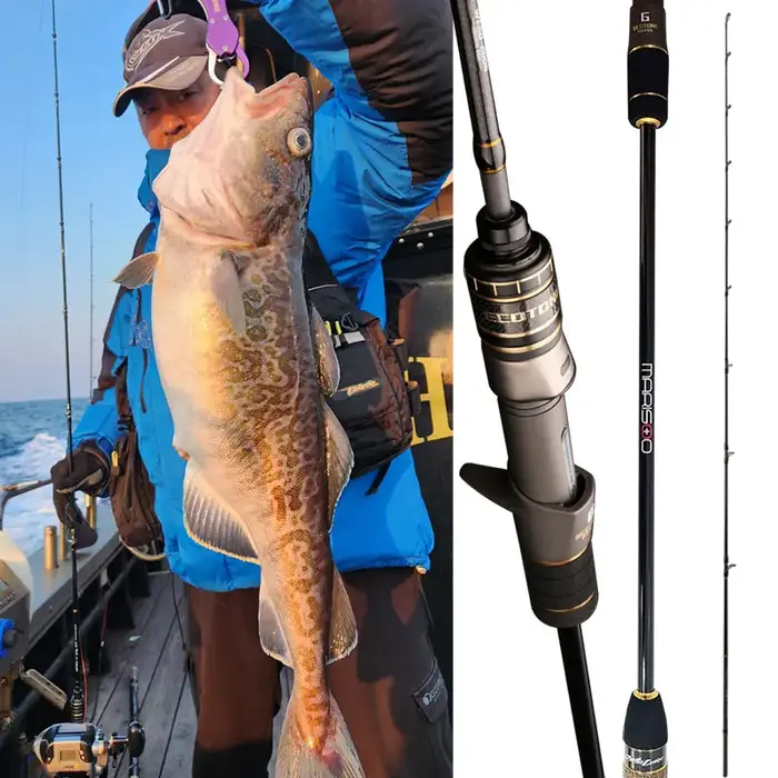 Canne à pêche Pesca Boat pour la pêche en mer, gros gibier, jigging à lancer lent, en carbone, 2 bri