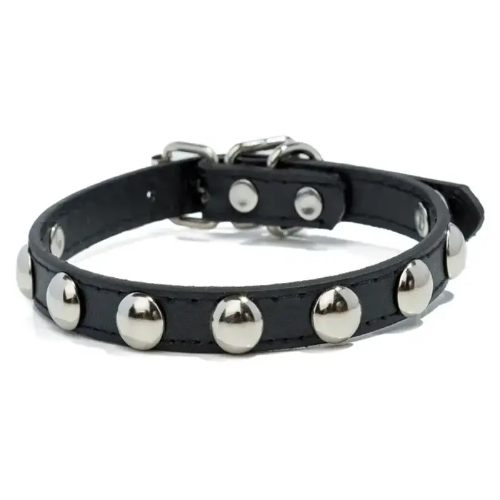 Collier de chiot en cuir coloré pour animaux de compagnie, colliers cloutés pour petits chiens, chat