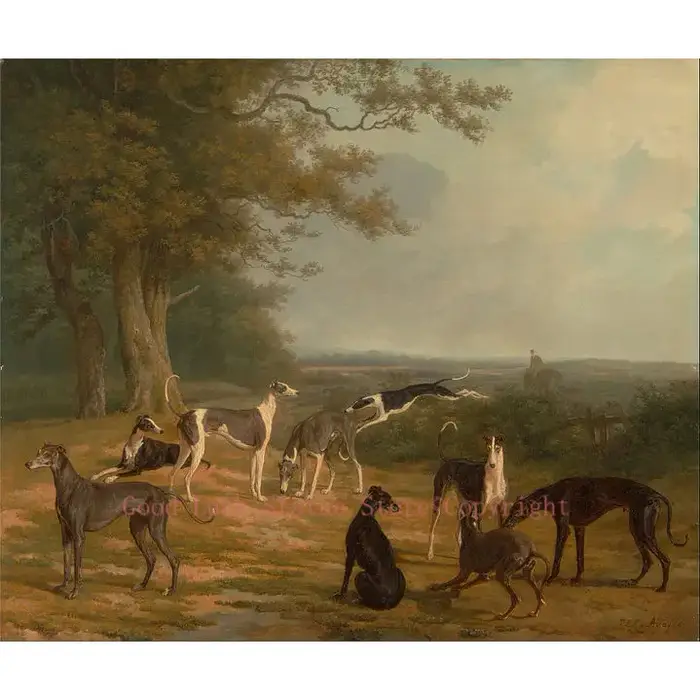 GOOD-art décoratif de salon de maison | Dessin artistique # Animal lévrier, chien neuf lévriers dans