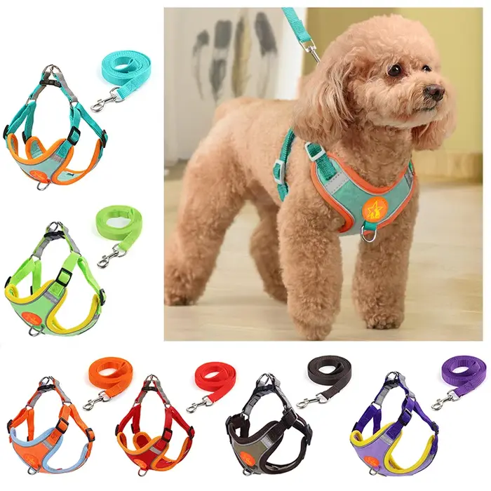 Sangles de coulée de ULde traction en émail SFP pour chiens de petite et moyenne taille