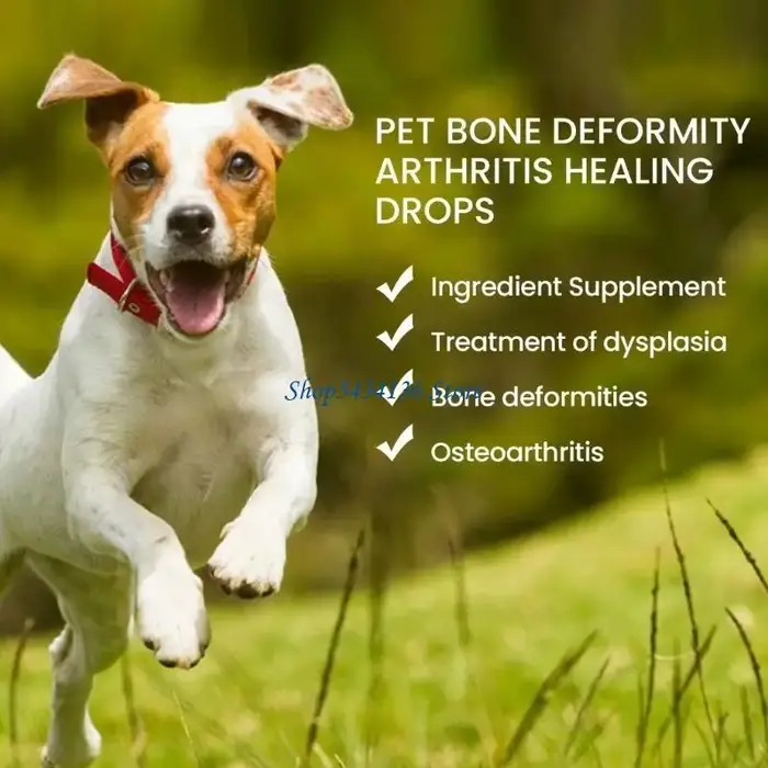 H7ED – goutte guérison des articulations des animaux compagnie, formule guérison l'arthrite pour chi